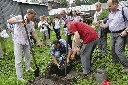 Благодаря участникам сессии в центре ботсада ПГНИУ появилось "дерево дружбы"